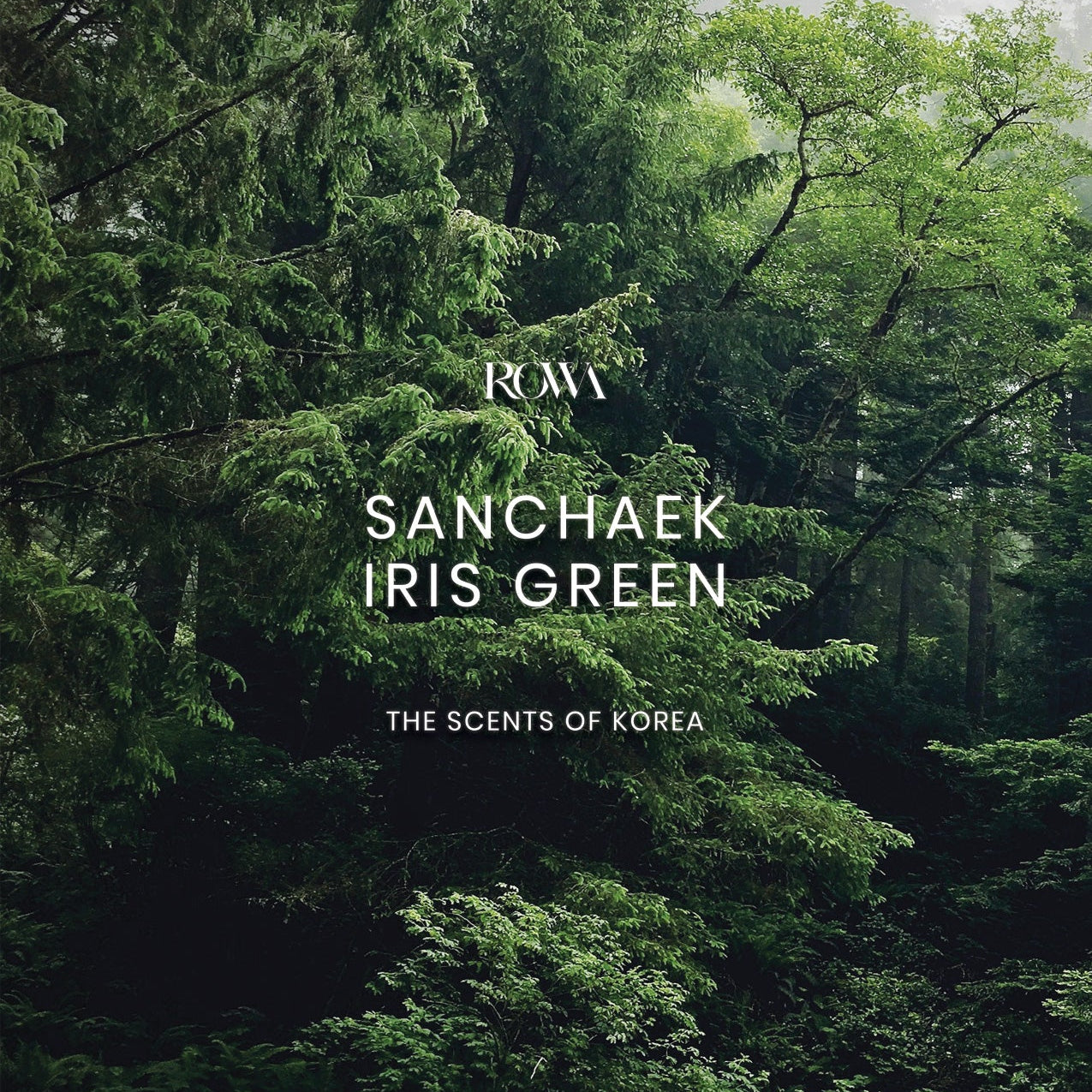 Sanchaek · Iris Green