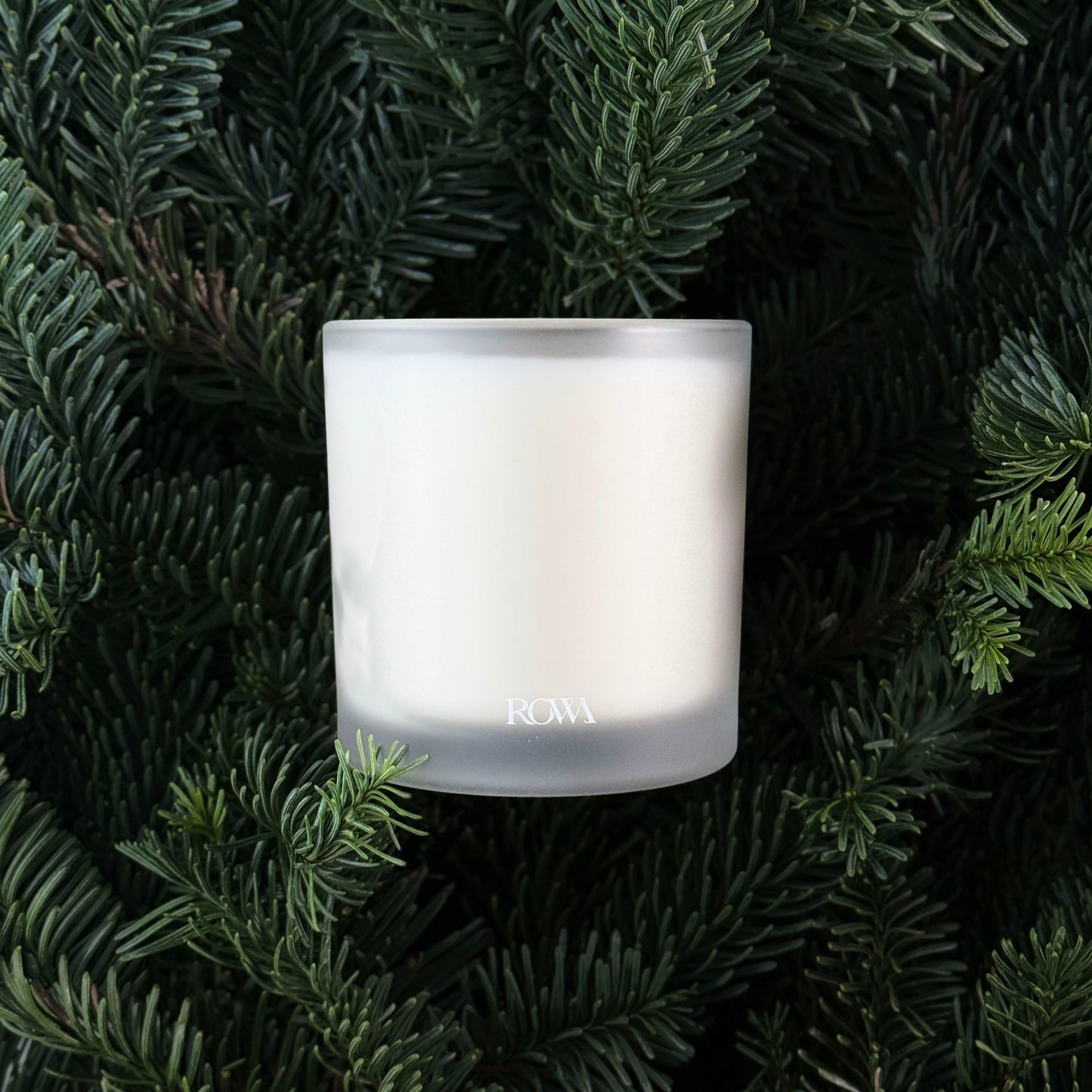 Pine Tree