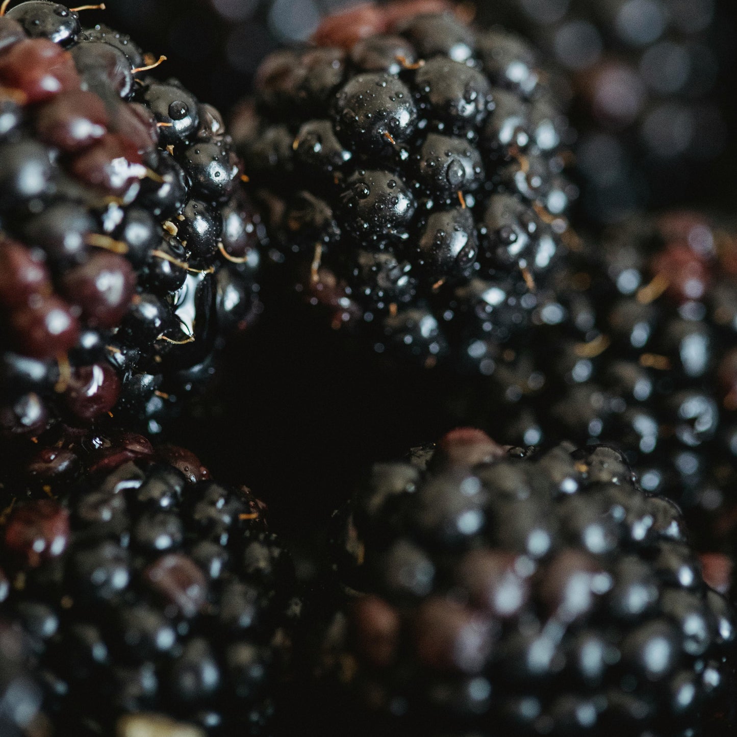 Berry Vine