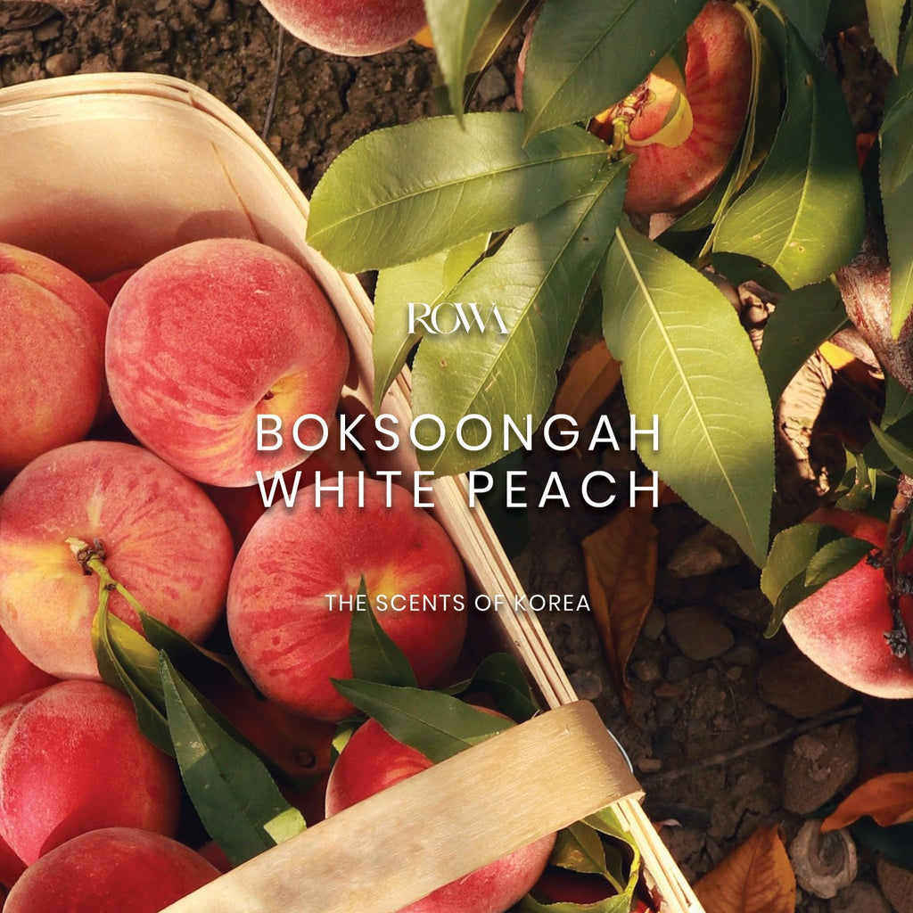BOKSOONGAH · WHITE PEACH